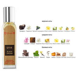 Silvana Silvana U114 Tom Ford Black Orchid 18 