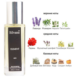  Silvana Silvana M816 Chanel Egoiste Platinum ( 01 Element ) 30 