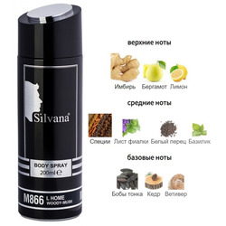  Silvana Silvana /   866 YSL L'Homme 200 